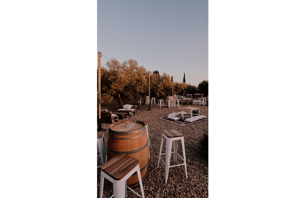 Ensemble Vin d'honneur Campagne